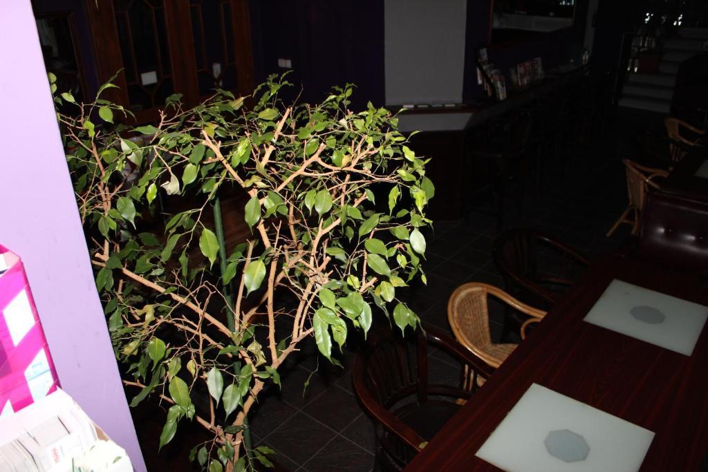 Club Hotel Praha Luaran gambar